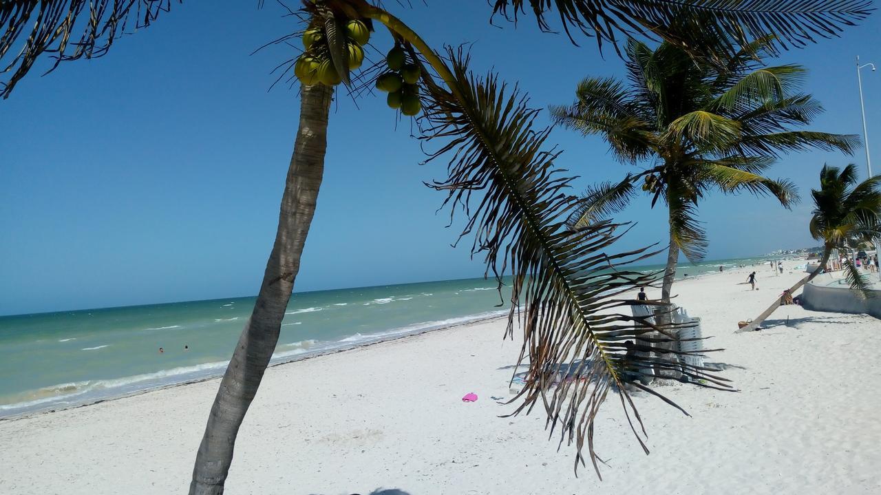 Mayab Suite Progreso  Eksteriør bilde
